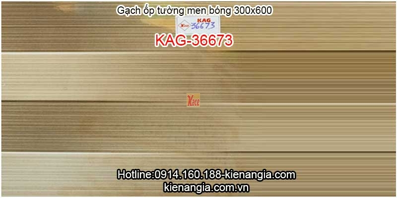 Gạch ốp tường khách sạn 30x60 KAG-36673