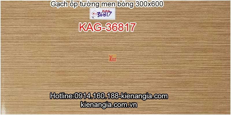 Gạch ốp tường phòng sinh hoạt chung 300x600 KAG-36817