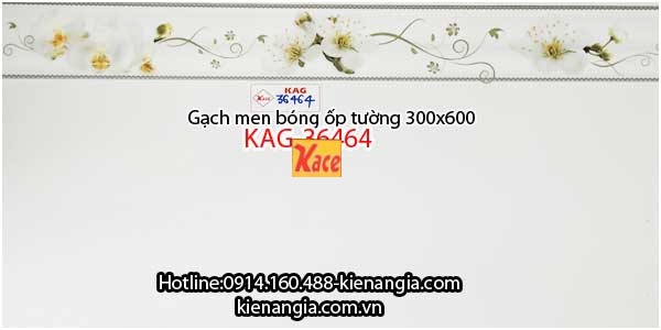 Gạch men bóng ốp tường 300x600 KAG-36464