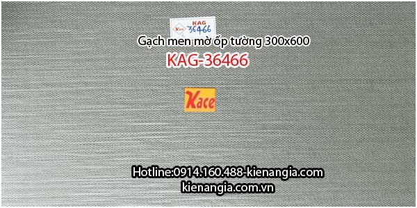 Gạch men bóng ốp tường 300x600 KAG-36466