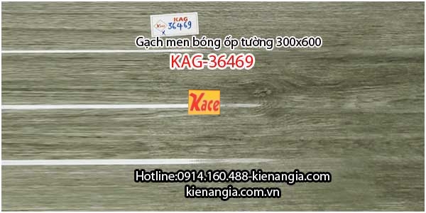 Gạch men bóng ốp tường 300x600 KAG-36469