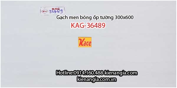 Gạch ốp tường văn phòng 30x60 KAG-36489