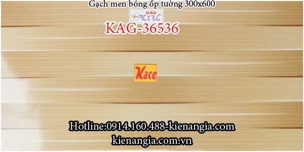 Gạch men bóng ốp tường 30x60 KAG-36536