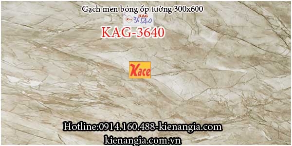 Gạch men bóng ốp tường 30x60 KAG-36540