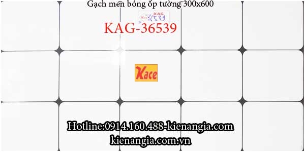 Gạch men bóng ốp tường ô vuông trắng 30x60 KAG-36538