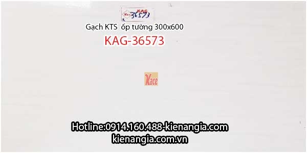 Gạch men bóng ốp tường phòng khách 30x60 KAG-36573