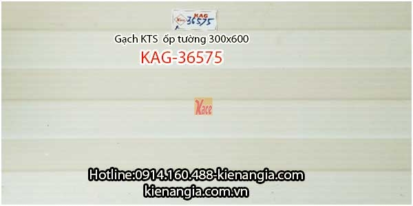 Gạch men bóng ốp tường phòng khách 30x60 KAG-36575