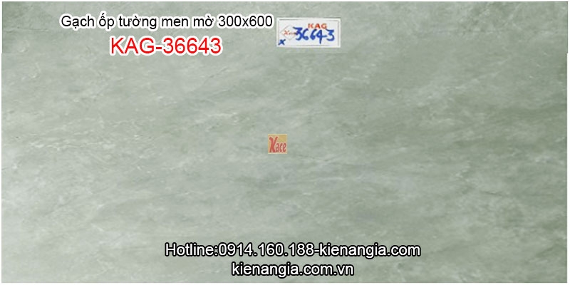 Gạch ốp tường biệt thự men mờ 30x60 KAG-36643