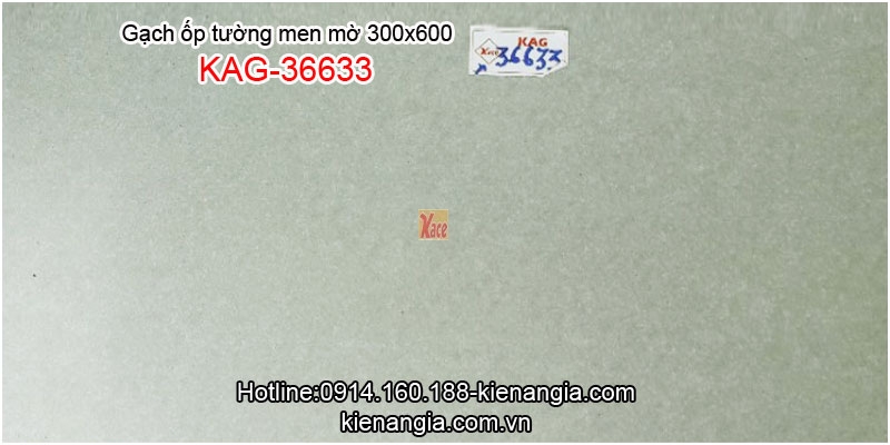 Gạch ốp tường khách sạn men mờ 30x60 KAG-36633