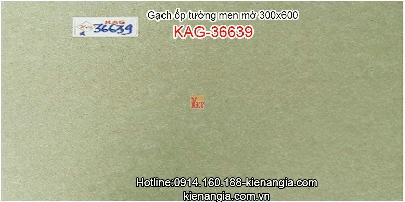 Gạch ốp tường khách sạn men mờ 30x60 KAG-36639