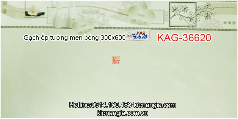 Gạch ốp tường nhà cho thuê men bóng 30x60 KAG-36620