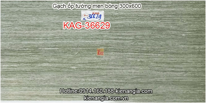 Gạch ốp tường phòng khách men bóng 30x60 KAG-36629