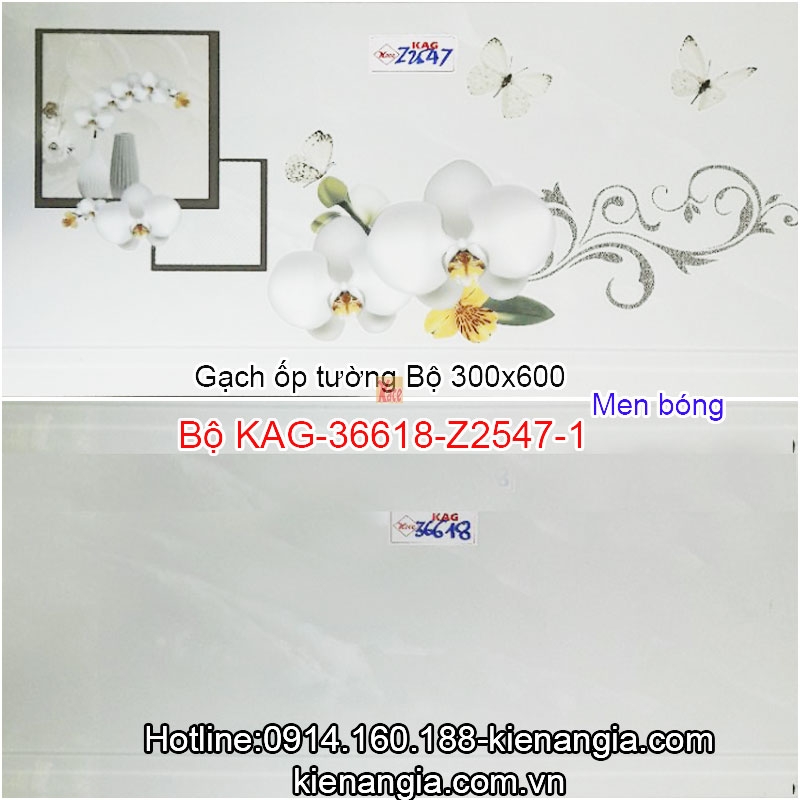 Gạch men bóng ốp tường 30x60 Bộ KAG-36618-Z2547