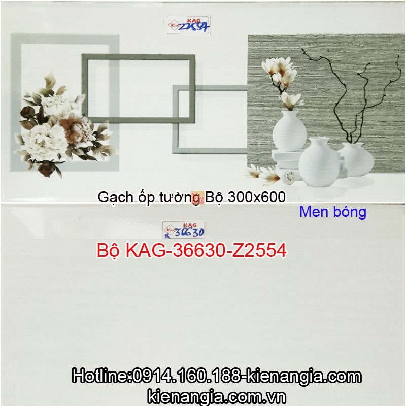 Gạch men bóng ốp tường 30x60 Bộ KAG-36630-Z2554