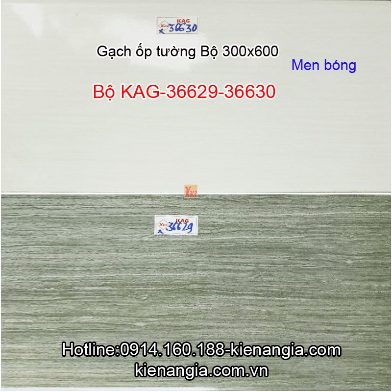 Gạch men bóng ốp tường 30x60 Bộ KAG-36629-36630