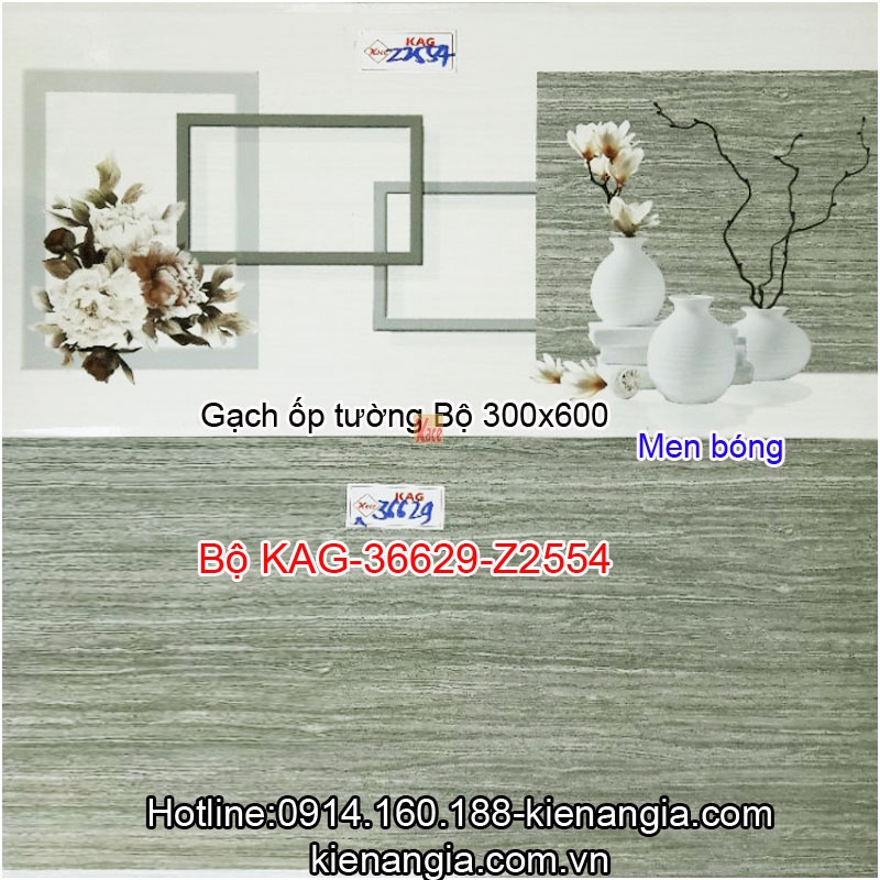 Gạch men bóng ốp tường 30x60 Bộ KAG-36629-Z2554