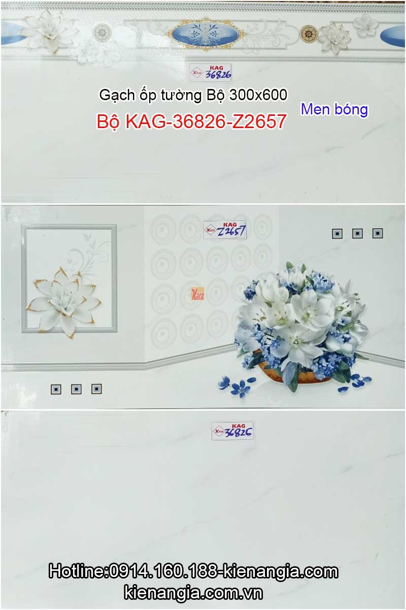 Gạch ốp tường men bóng 300x600 Bộ KAG-36826-Z2657