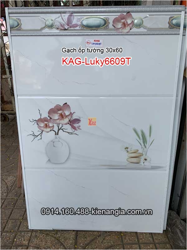 Gạch ốp tường 30x60 Bộ KAG-Luky6609T