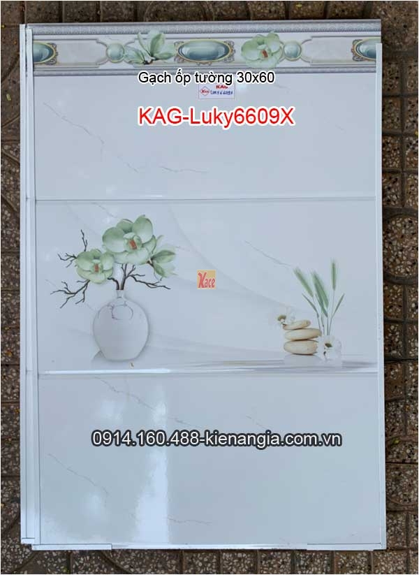 Gạch ốp tường 30x60 Bộ KAG-Luky6609X