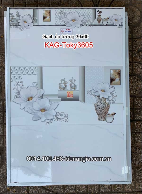 Gạch ốp tường 30x60 Bộ KAG-Toky3065