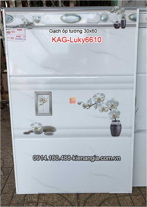 Gạch ốp tường 30x60 Bộ KAG-Luky6610