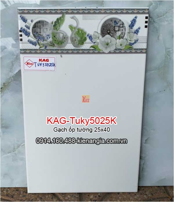 Gạch ốp tường 25x40 KAG-Tuky5025K