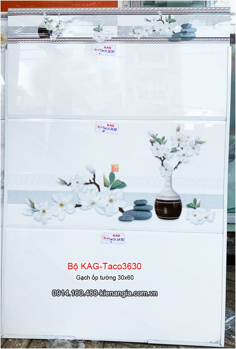 Gạch ốp tường 300x600 Bộ KAG-Taco3630