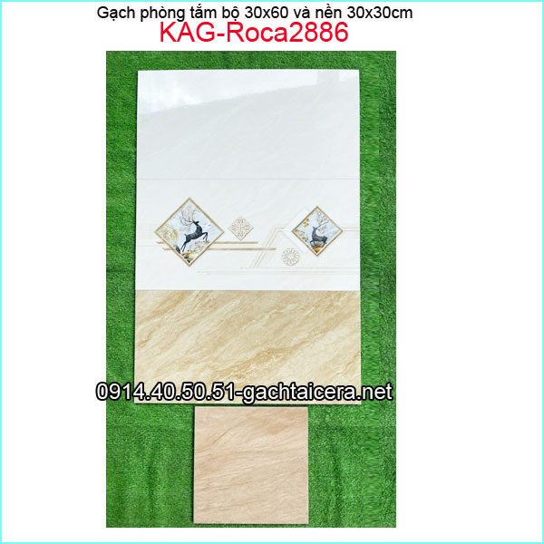 Gạch ốp tường bộ 30x60cm KAG-Roca2886