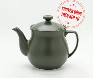 Ấm nước (siêu thuốc) dưỡng sinh 3.3L - Ấm từ