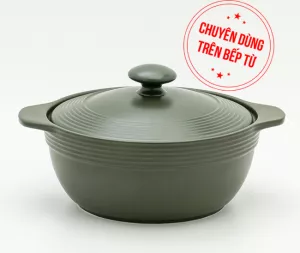 Nồi dưỡng sinh hai quai 1.9L - Nồi từ