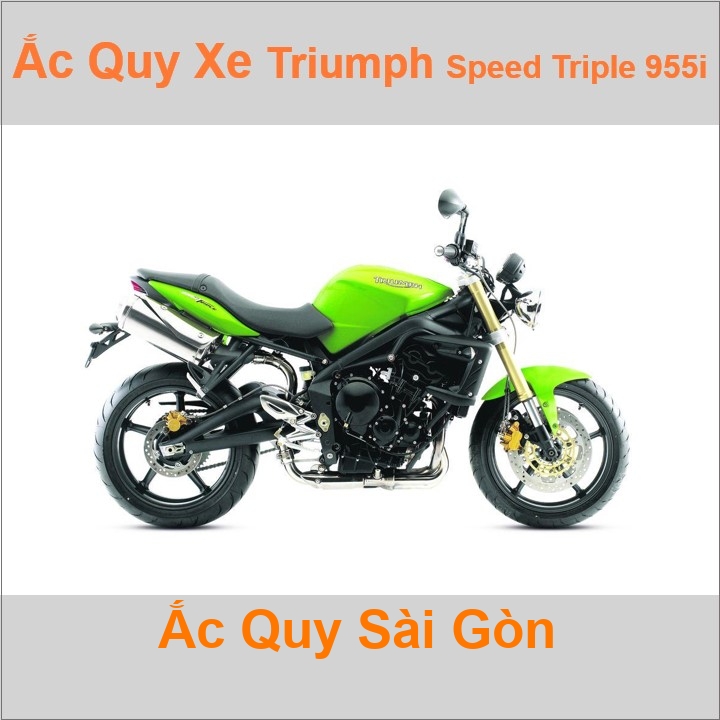 Ắc quy xe mô tô Triumph Speed Triple 955i