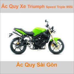 Ắc quy xe mô tô Triumph Speed Triple 955i