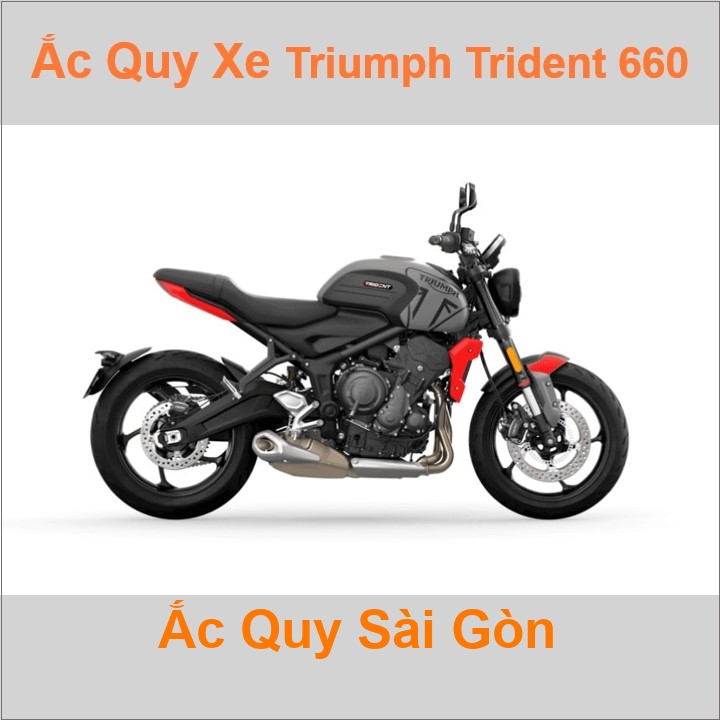 Ắc quy xe mô tô Triumph Trident 660