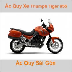 Ắc quy xe mô tô Triumph Tiger 955i