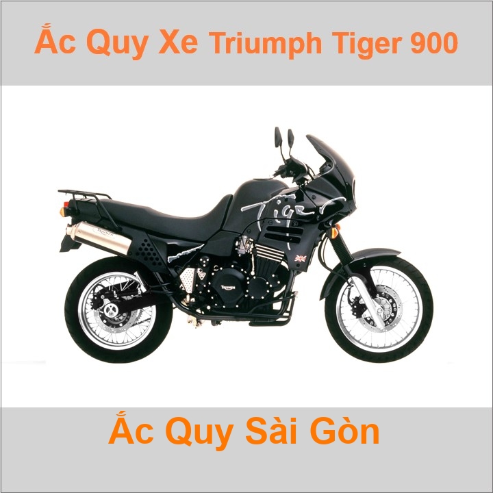 Ắc quy xe mô tô Triumph Tiger 900 ('97-'98)