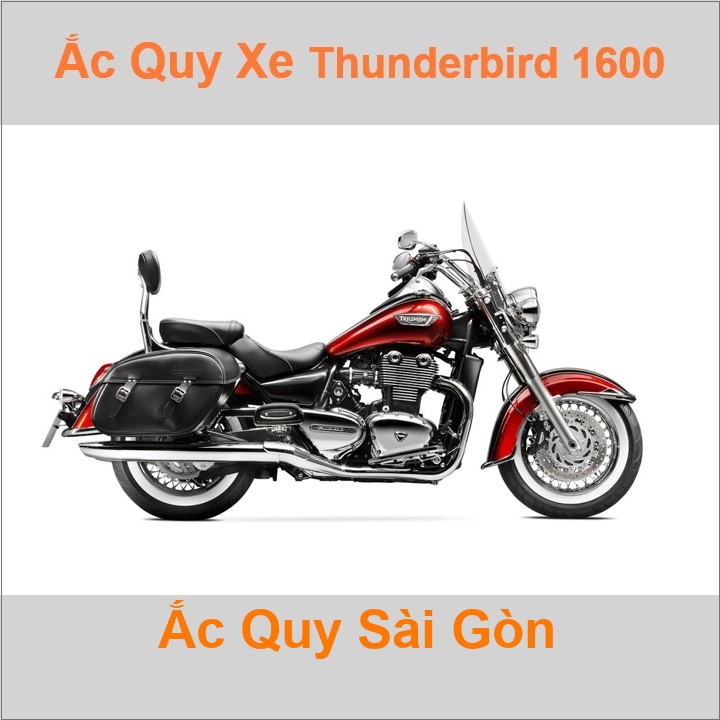 Ắc quy xe mô tô Triumph Thunderbird-1600