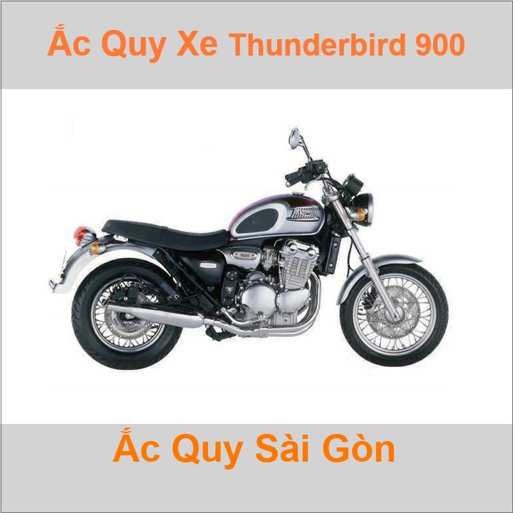 Ắc quy xe mô tô Triumph Thunderbird 900