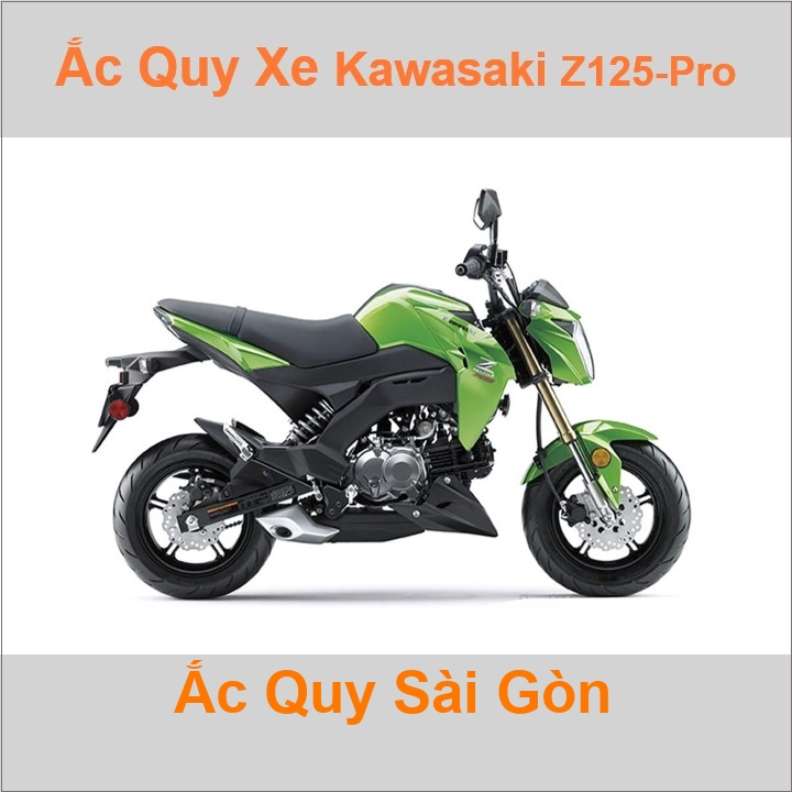 Ắc quy xe mô tô Kawasaki Z 125/Pro ('18 - nay)