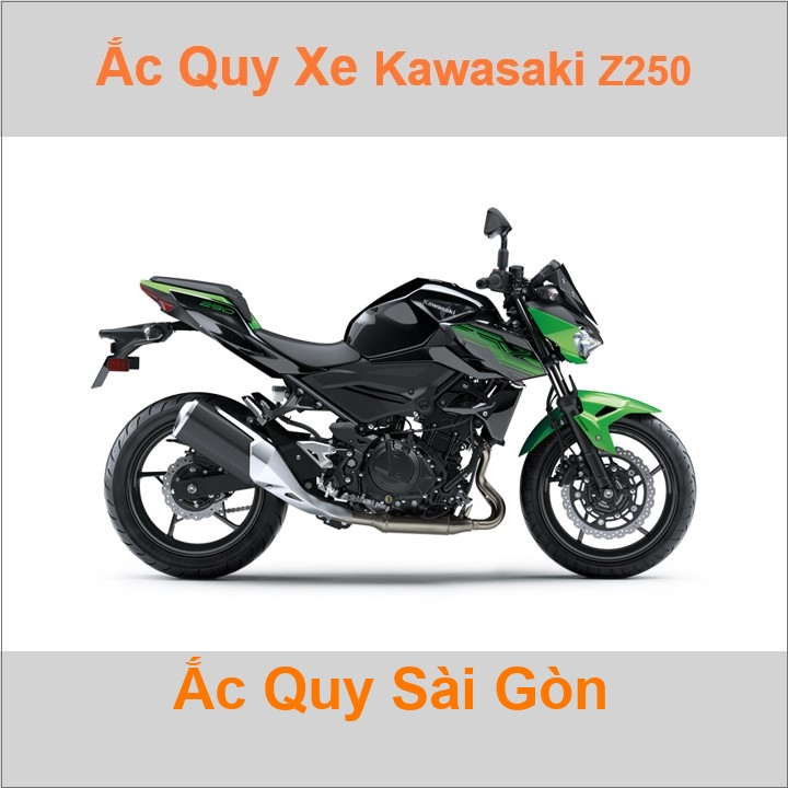 Ắc quy xe mô tô Kawasaki Z 250 Twin ('13 - nay)