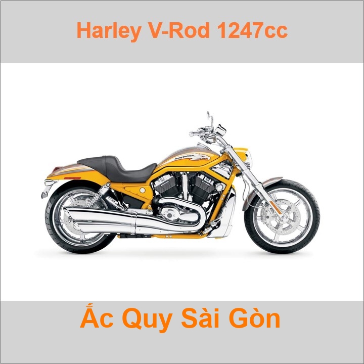 Ắc quy xe mô tô Harley Davidson V-Rod 1247cc VRSC (2005 - 2017)