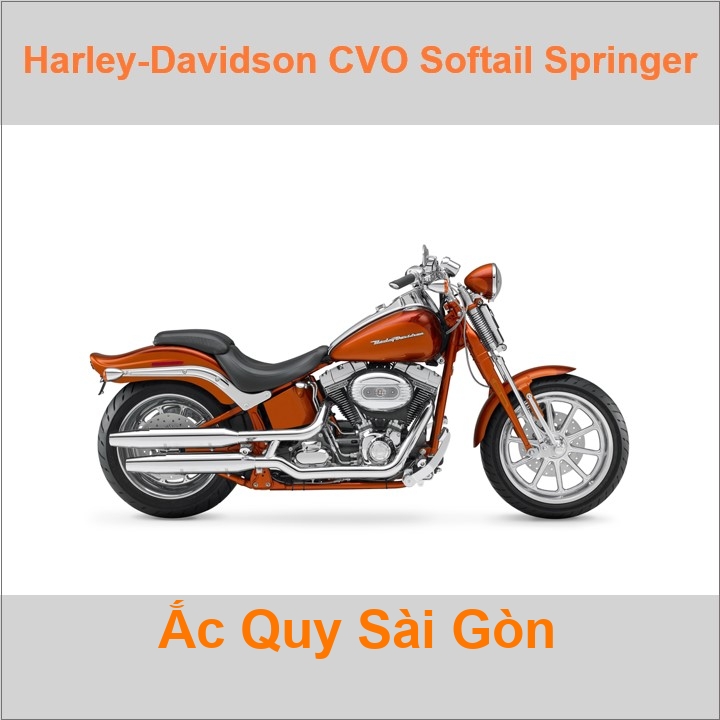 Ắc quy xe mô tô Harley Davidson CVO Softail Springer FXSTSSE (2007 - 2009)