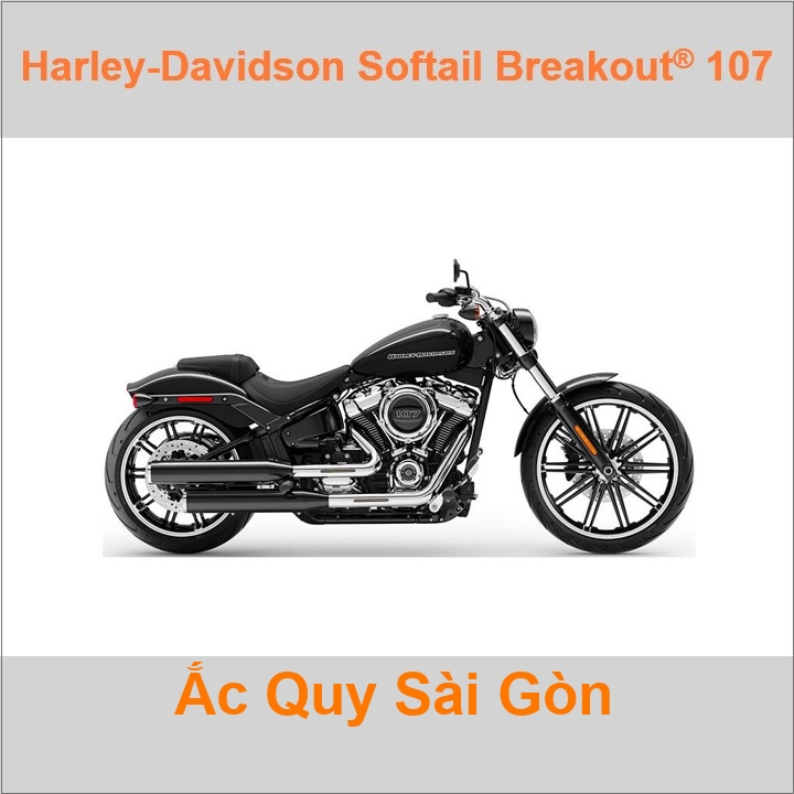 Ắc quy xe mô tô Harley Davidson Softail Breakout 107 FXBR (2018- 2019)