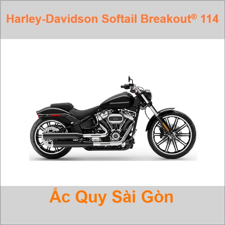 Ắc quy xe mô tô Harley Davidson Softail Breakout 114 FXBRS (2020 đến nay)