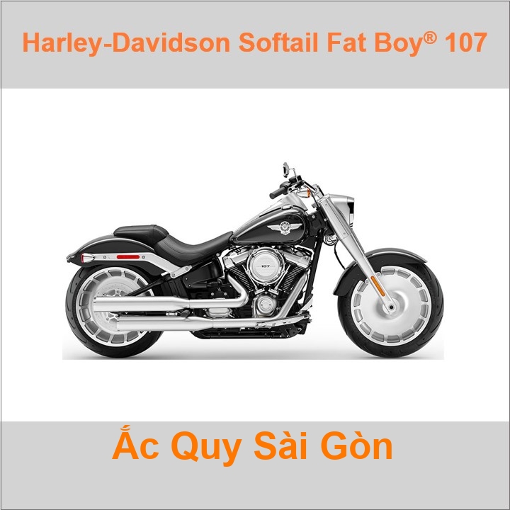 Ắc quy xe mô tô Harley Davidson Softail Fat Boy 107 FLFB (2018- 2019)