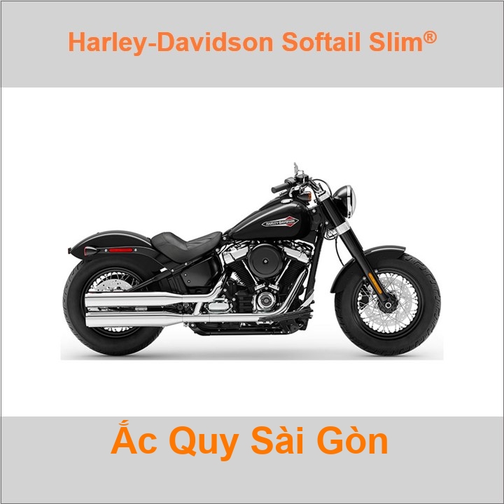 Ắc quy xe mô tô Harley Davidson Softail Slim 107 FLSL (2018 đến nay)