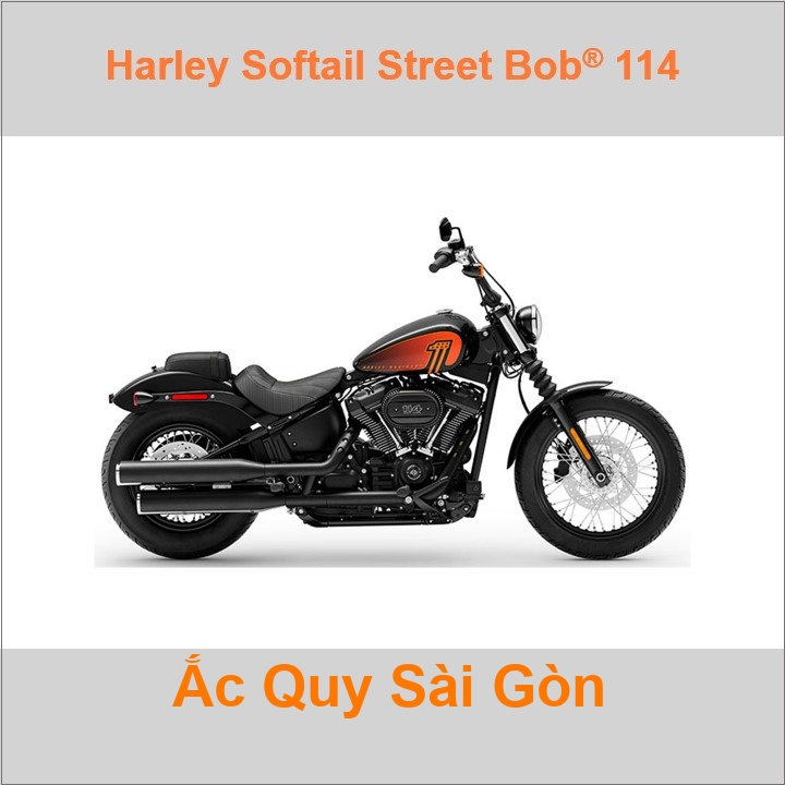 Ắc quy xe mô tô Harley Davidson Softail Street Bob 114 FXBBS (2021 đến nay)