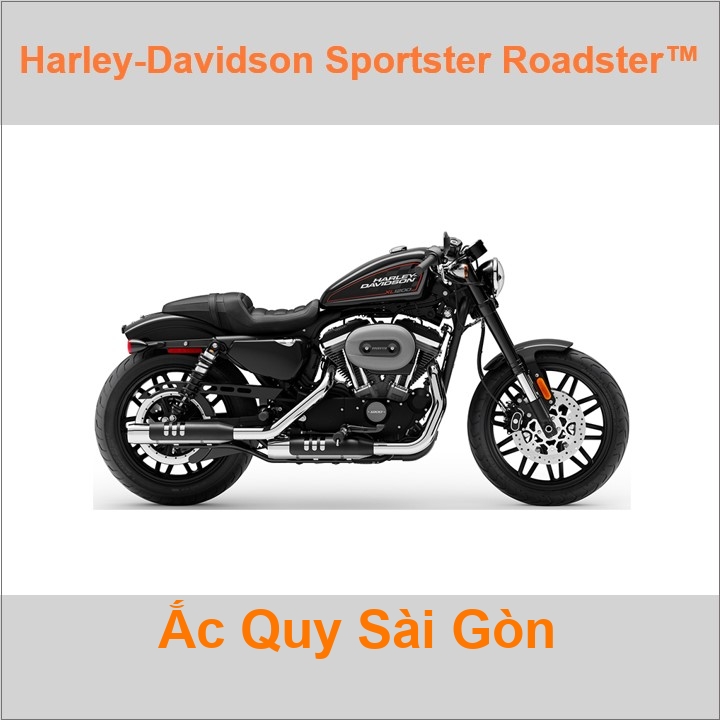 Ắc quy xe mô tô Harley Davidson Sportster Roadster-1200 XL1200CX (2019 - 2020)