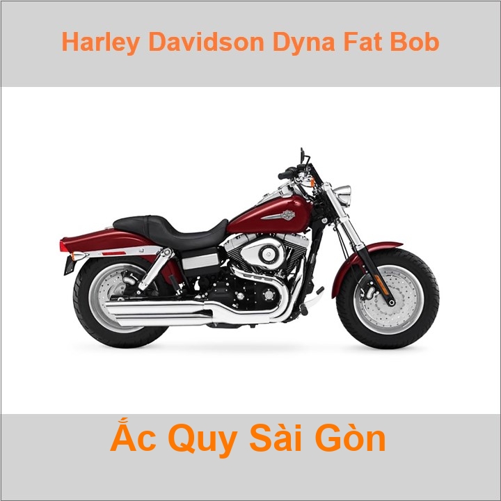 Ắc quy xe mô tô Harley Davidson Dyna Fat Bob FXDF (2008 - 2017)