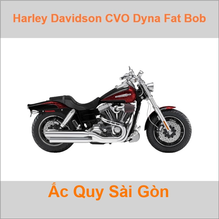 Ắc quy xe mô tô Harley Davidson CVO Dyna Fat Bob FXDFSE (2009 - 2010)