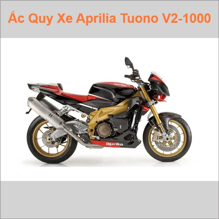 Ắc quy xe mô tô Aprilia Tuono V2 1000 (2002 - 2011)